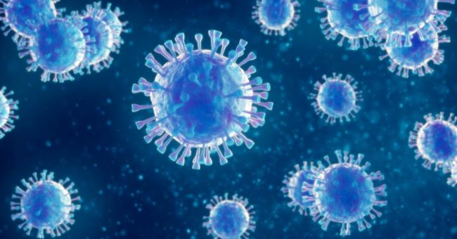 Coronavirus (COVID-19) Updates on Borough Operations
